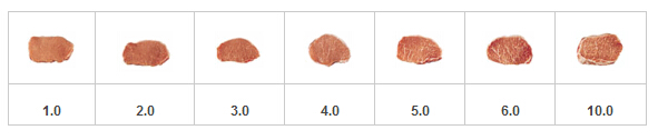 肉类食品大理纹